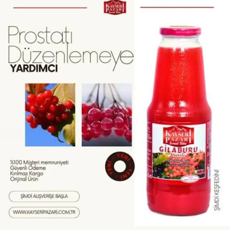 DR BORUNUS GİLABURU